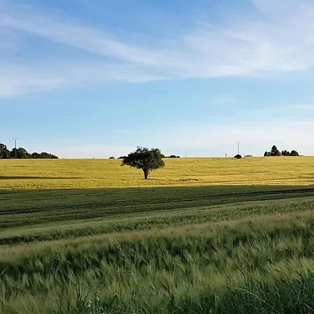 펜션 Quaint In Aquitaine With Furnished Garden Chalais (Dordogne)