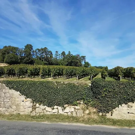 Quaint In Aquitaine With Furnished Garden * Chalais (Dordogne)