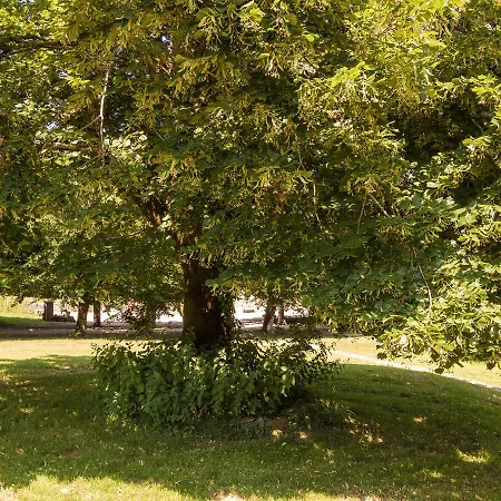 Quaint In Aquitaine With Furnished Garden *