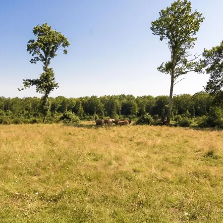 펜션 Quaint In Aquitaine With Furnished Garden